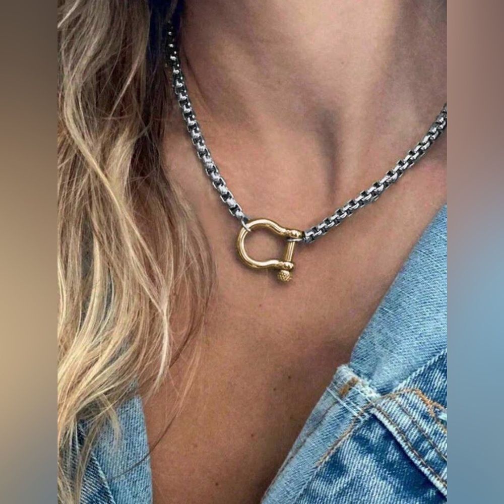 Link chain Necklace N1377